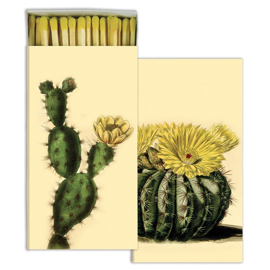set of matches in pale yellow boxes with images of two different types of cacti. one box is opened exposing matches