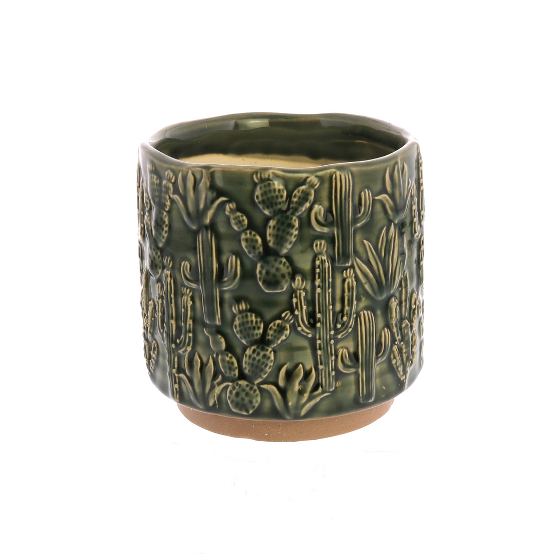 green ceramic pot embossed with images of various types of cacti